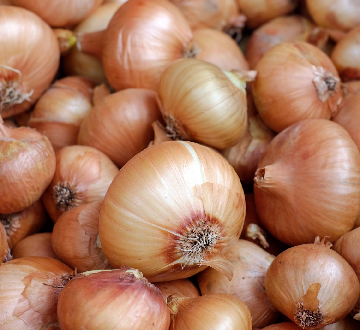 Onion - the One Ingredient You Must Pre-Cook Before Adding to Your Slow Cooker!