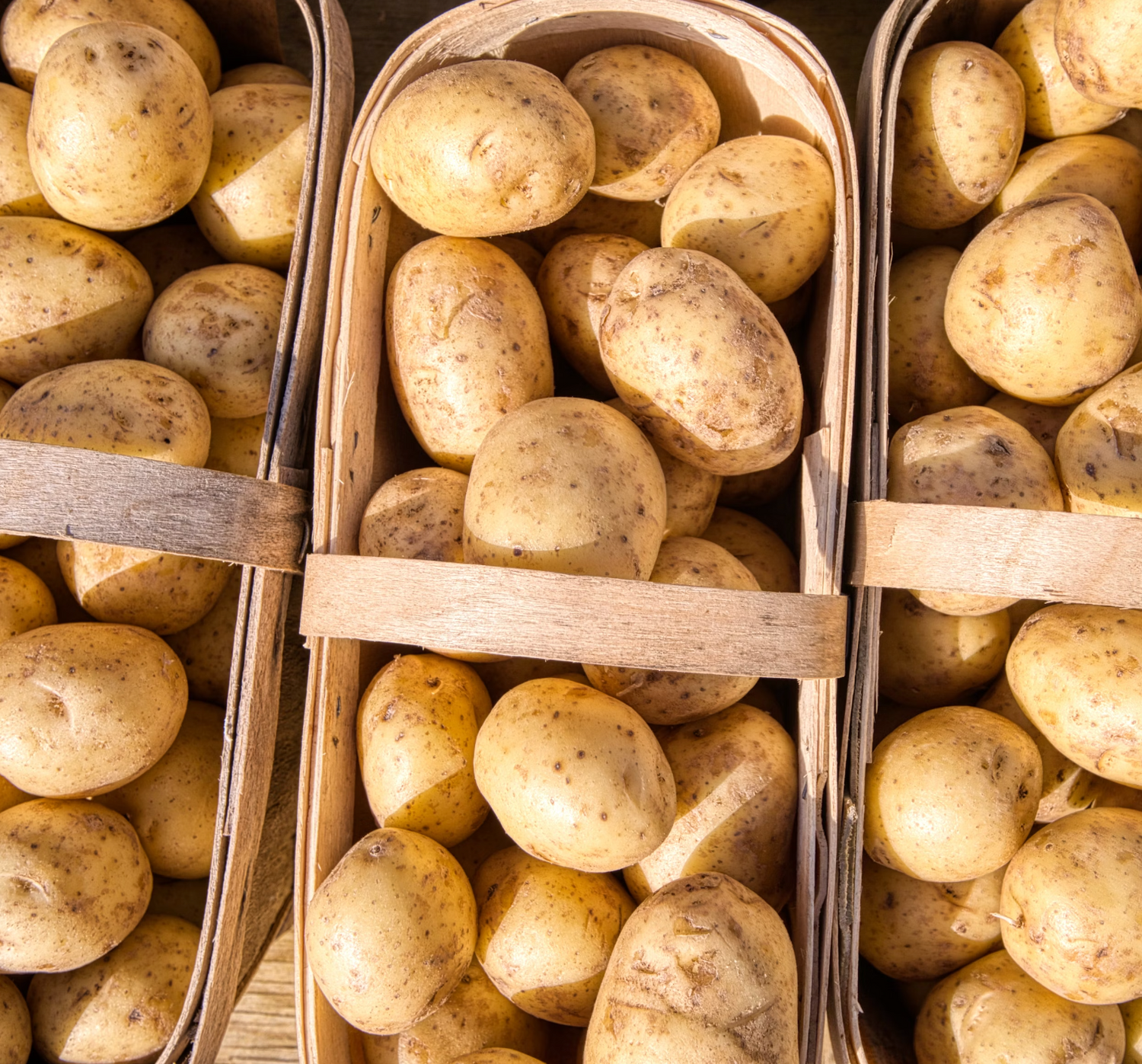 Growing Potatoes at Home - Everything You Need to Know