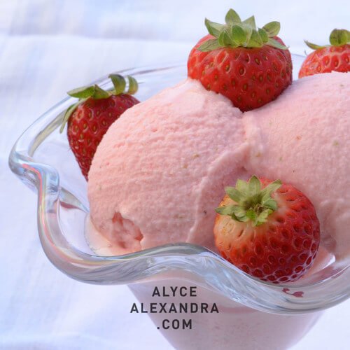 Thermomix Strawberry Yoghurt Sorbet Recipe