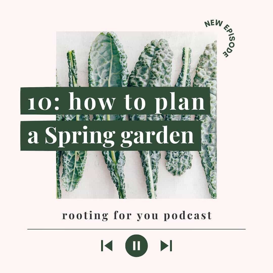 How to Plan a Spring Garden - What to Plant and Where to Plant It for Beginner Gardeners