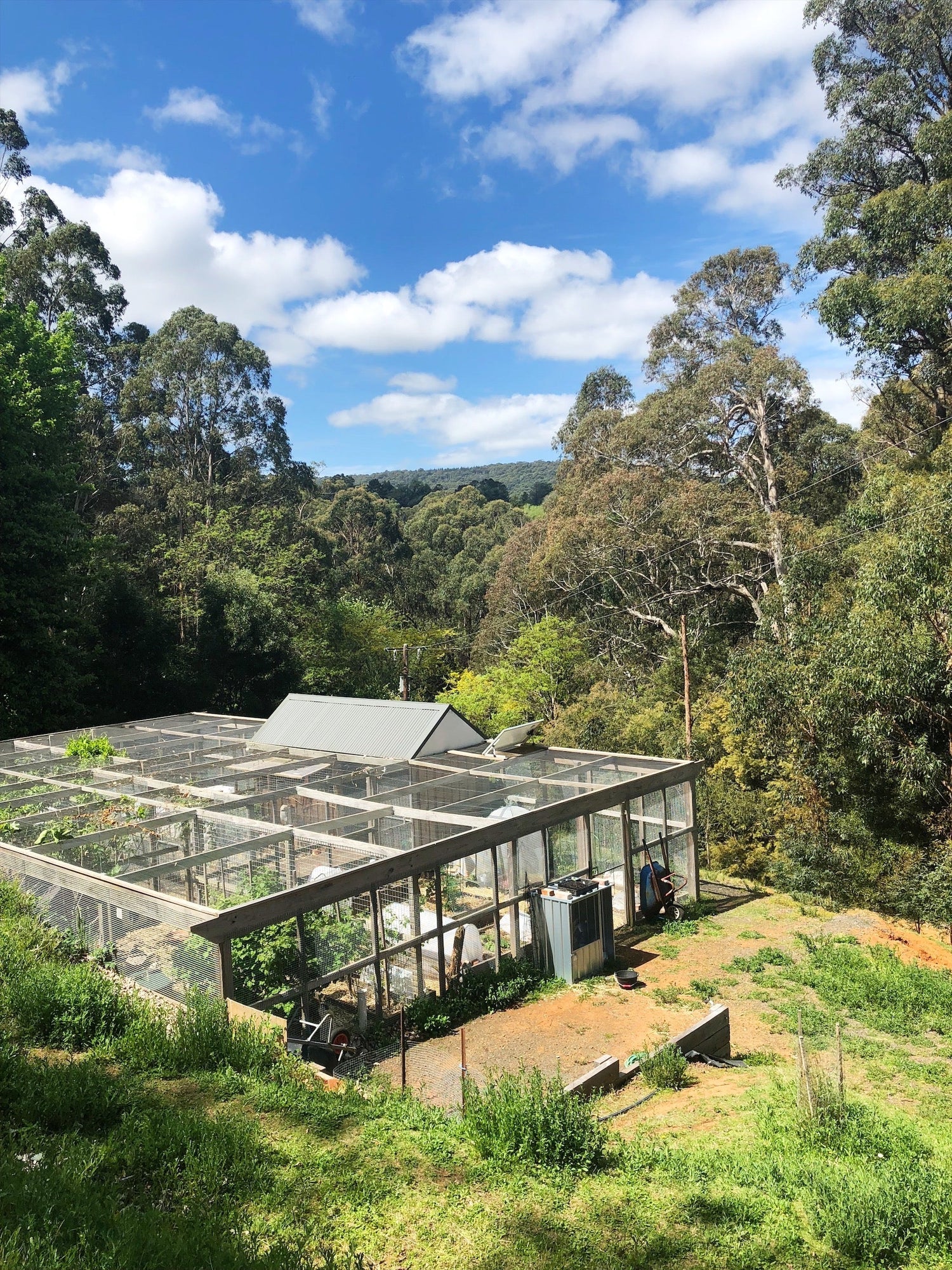 Building the Ultimate Chicken Coop: 10 Year Build Review