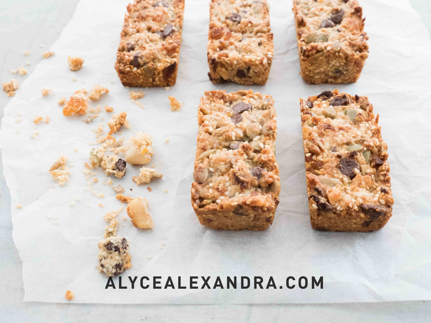 Choc Chip Muesli Slice Thermomix Recipe