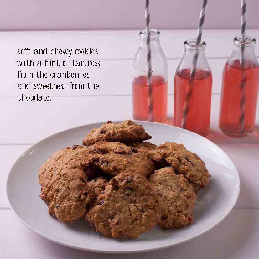 White Chocolate & Cranberry Cookies in the Thermomix | Recipe