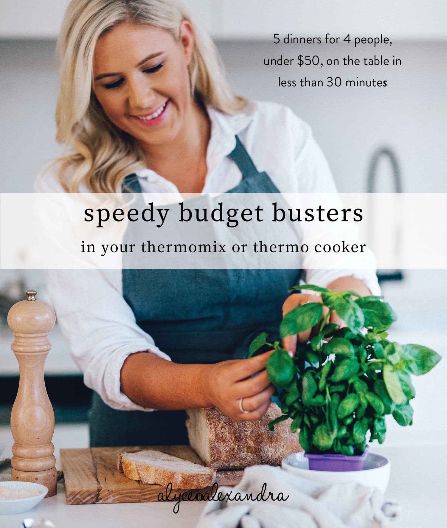 Free Thermomix Recipes on A Budget