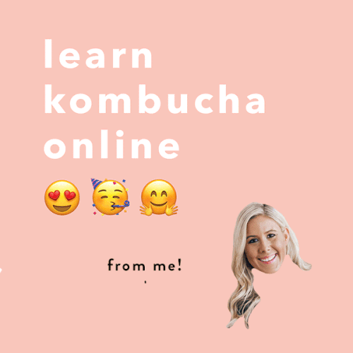 New: Online Kombucha Course!