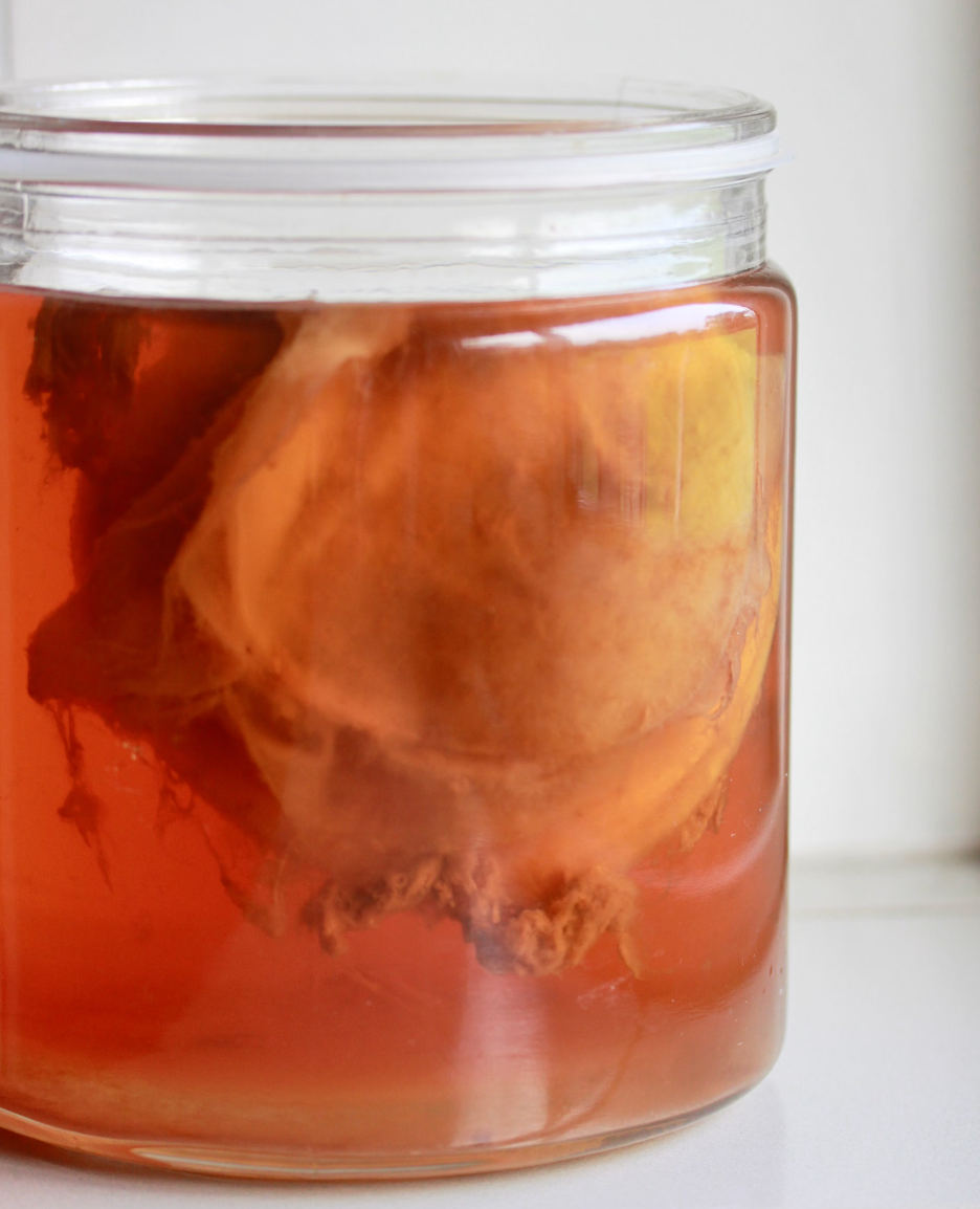 Is It Normal that My Kombucha SCOBY Is a Weird Shape?!