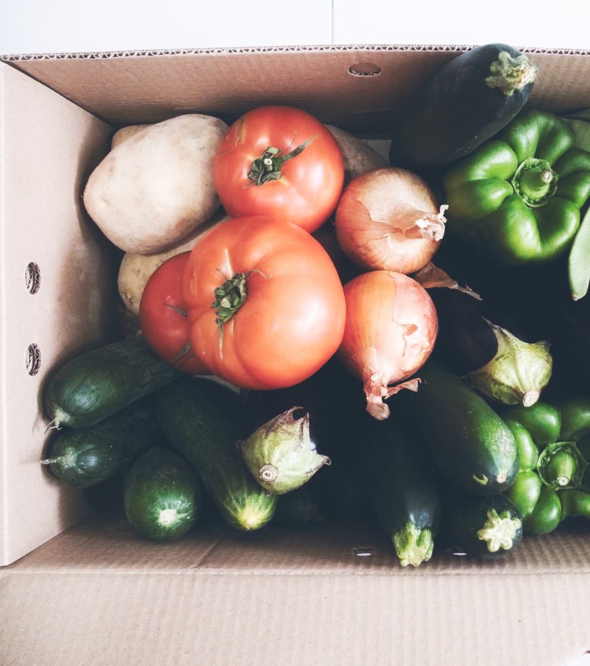 Thermomix Zucchini Pesto Pasta Recipe | Free Recipes by Author