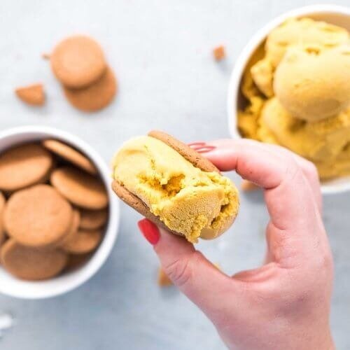 Thermomix Pumpkin Pie Ice Cream Recipe
