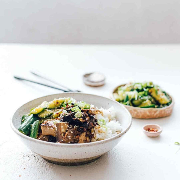 Silky Saucy Tofu and Rice