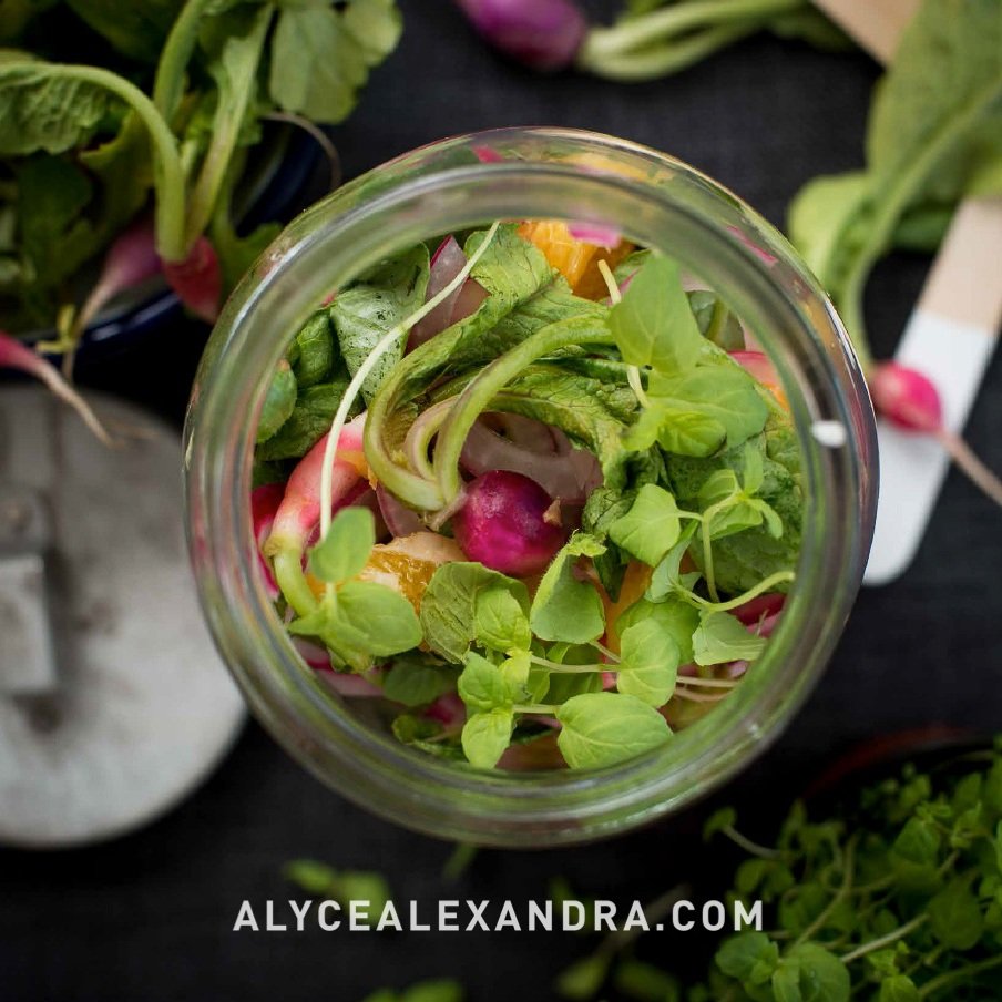 Thermomix Pickled Radish Salad Recipe