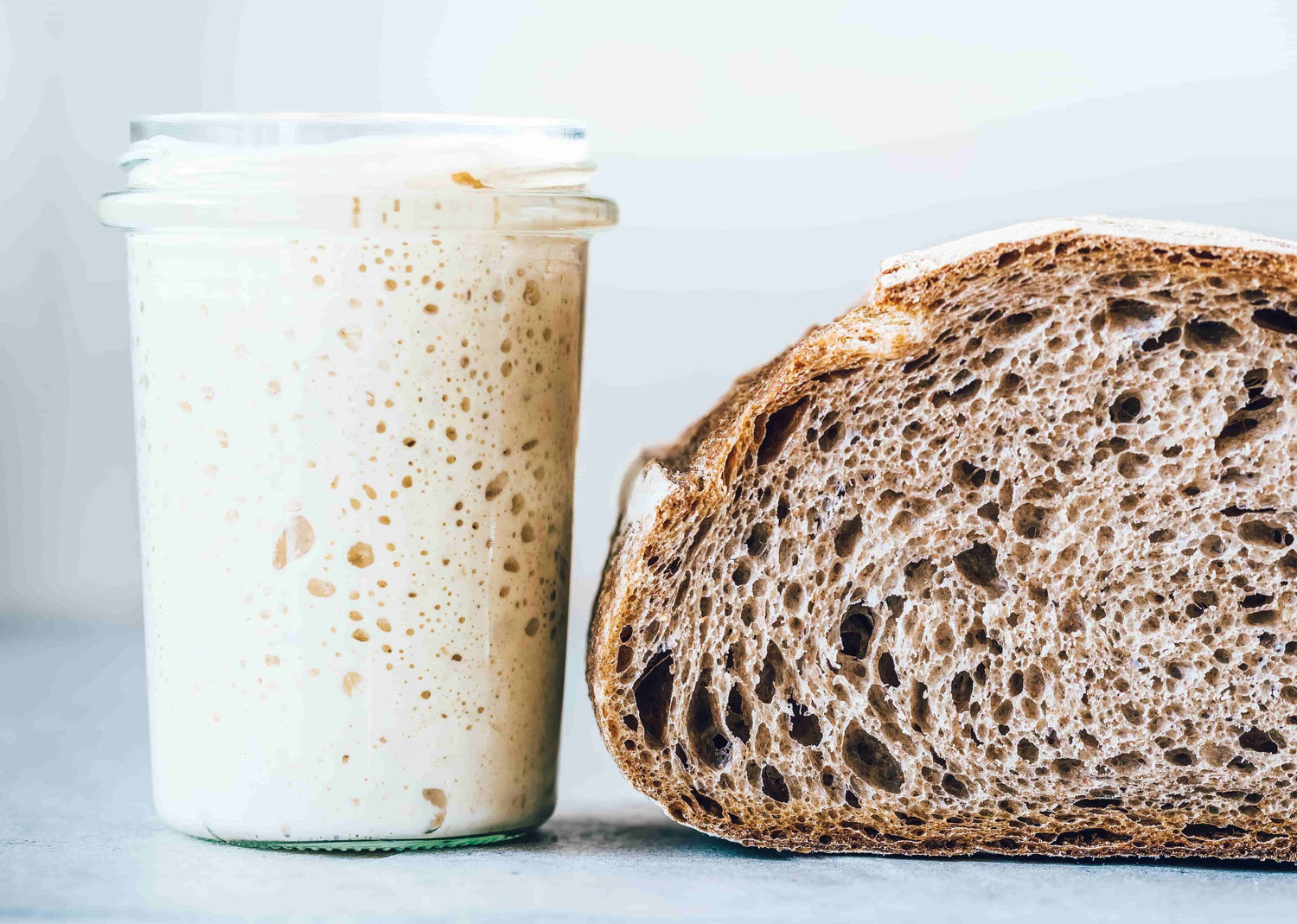 Need a Sourdough Starter?