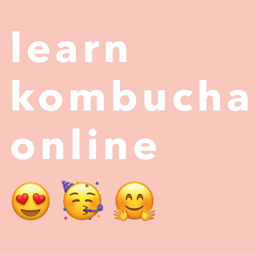 Learn Kombucha Online | Digital Class
