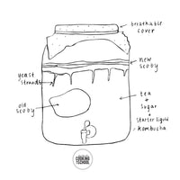 8L Kombucha Crock for Continuous Brew