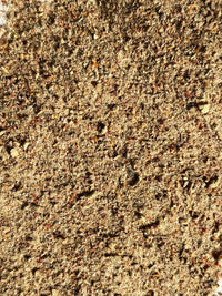 Close-up of the Bolognese Boost Salt blend, a coarse savoury seasoning flecked with green herbs and red tomato