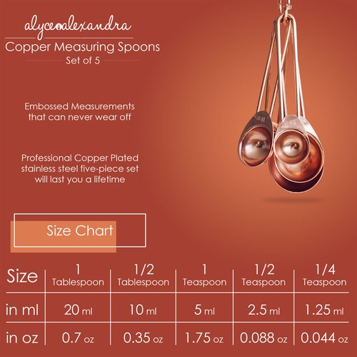 Copper Measuring Spoons | 5 Piece Set