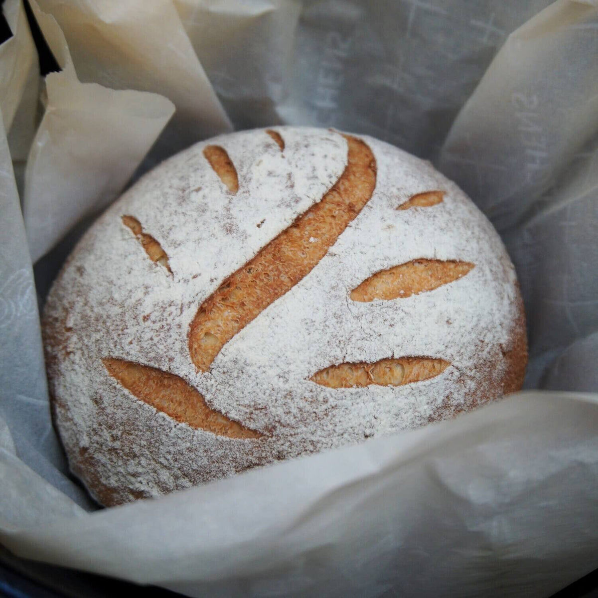 Sourdough loaf of bread scored with the dough scoring lame