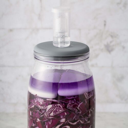Fermentation Set jar of red cabbage with the ceramic weight holding the vegetables under the brine