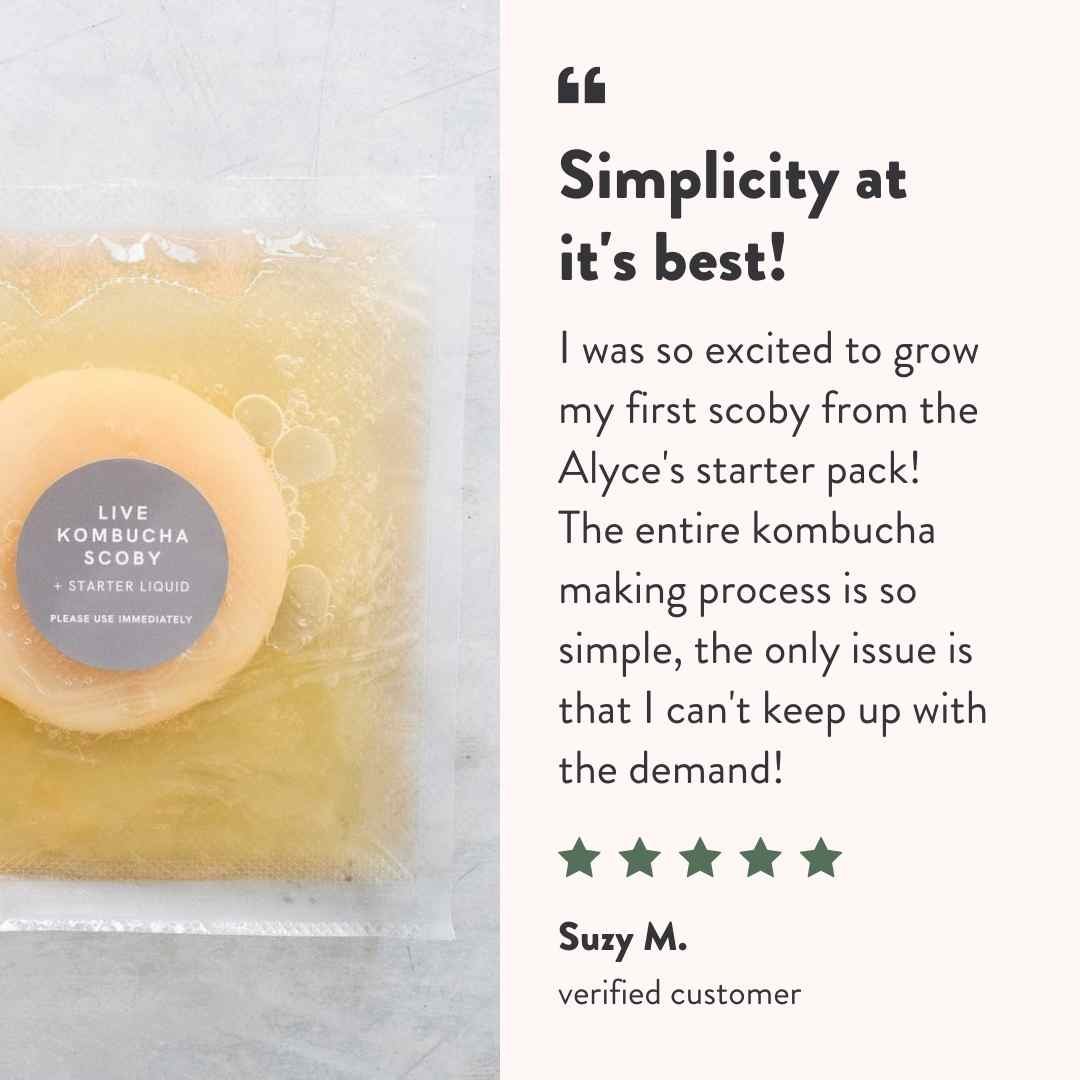 Kombucha SCOBY customer testimonial