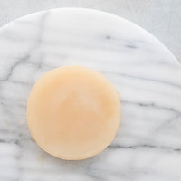 Kombucha SCOBY and starter liquid for brewing