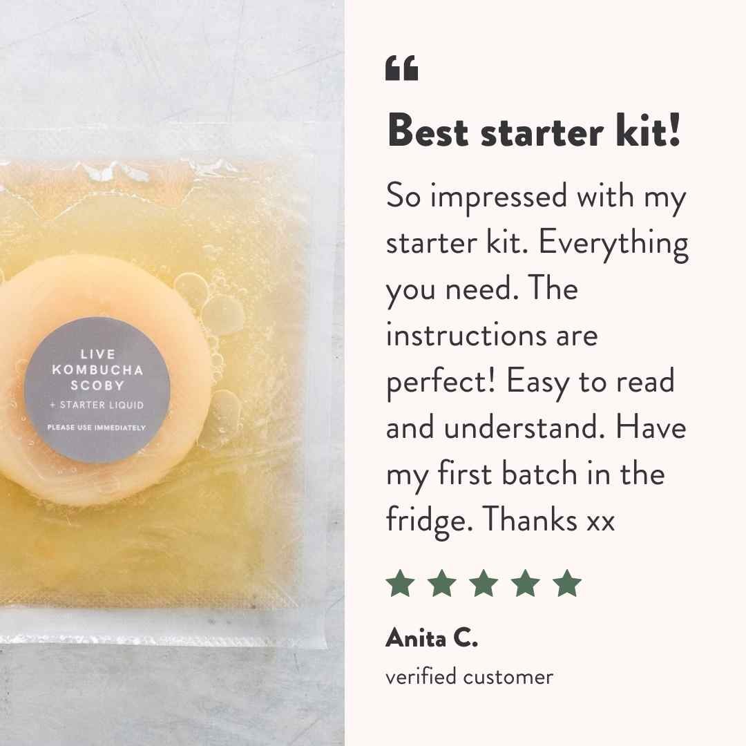 Kombucha SCOBY customer testimonial