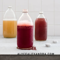 Kombucha SCOBY in starter liquid