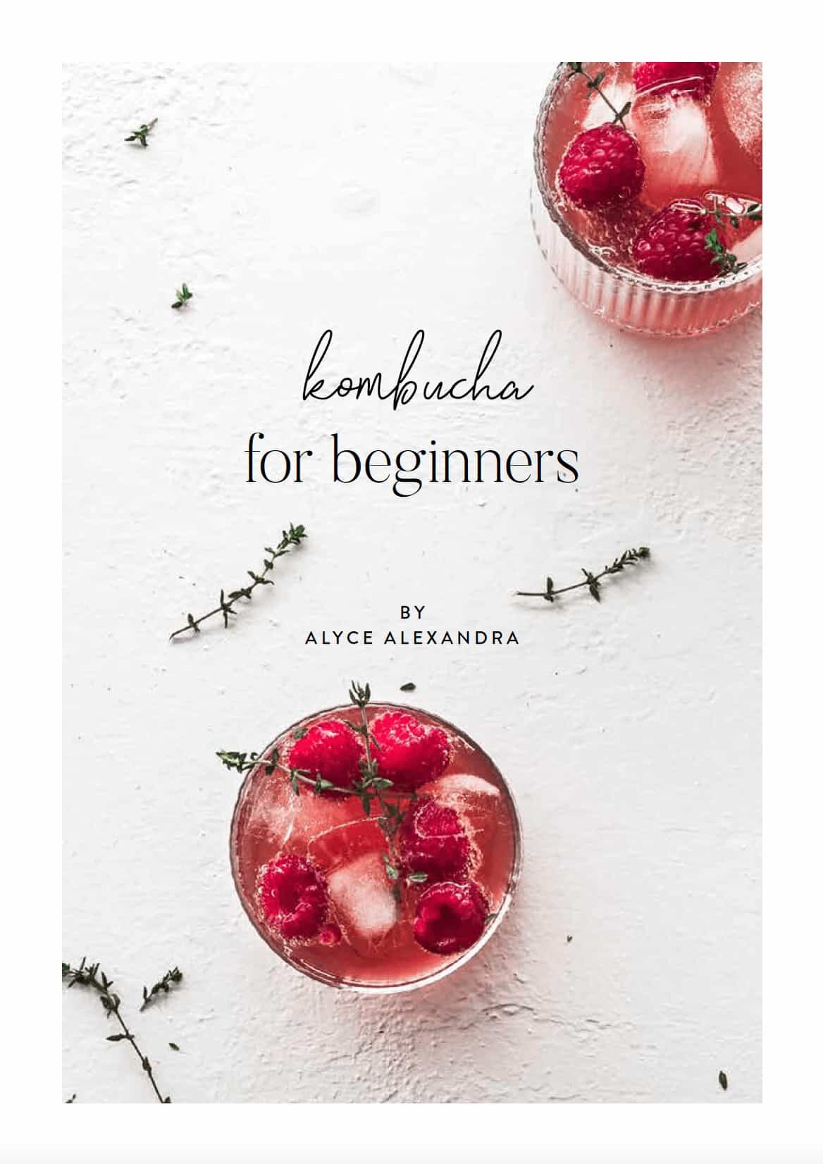 Kombucha for Beginners | Digital Book
