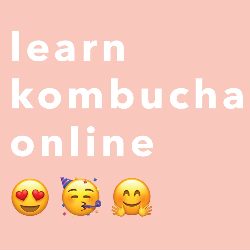 Learn Kombucha Online digital class