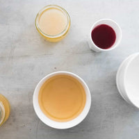 Kombucha SCOBY for brewing