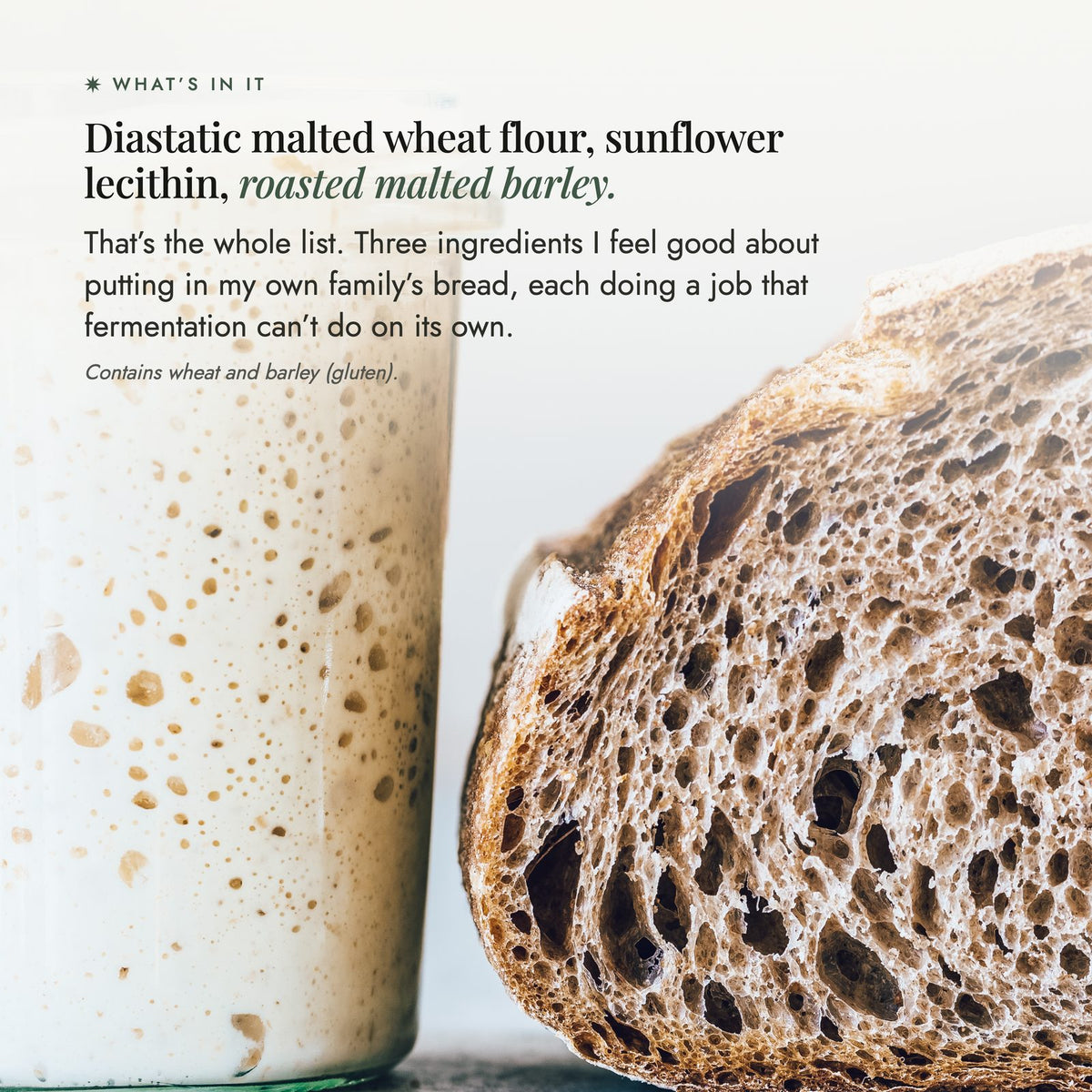 Jar of bubbling sourdough starter beside a cut loaf; the three ingredients in No-Nasty Bread Improver are diastatic malted wheat flour, sunflower lecithin and roasted malted barley, and it contains wheat and barley (gluten)