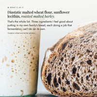 Jar of bubbling sourdough starter beside a cut loaf; the three ingredients in No-Nasty Bread Improver are diastatic malted wheat flour, sunflower lecithin and roasted malted barley, and it contains wheat and barley (gluten)