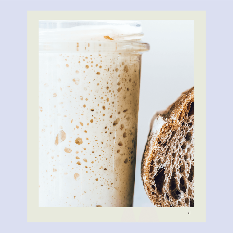 Jar of bubbling sourdough starter beside a dark sourdough loaf of bread