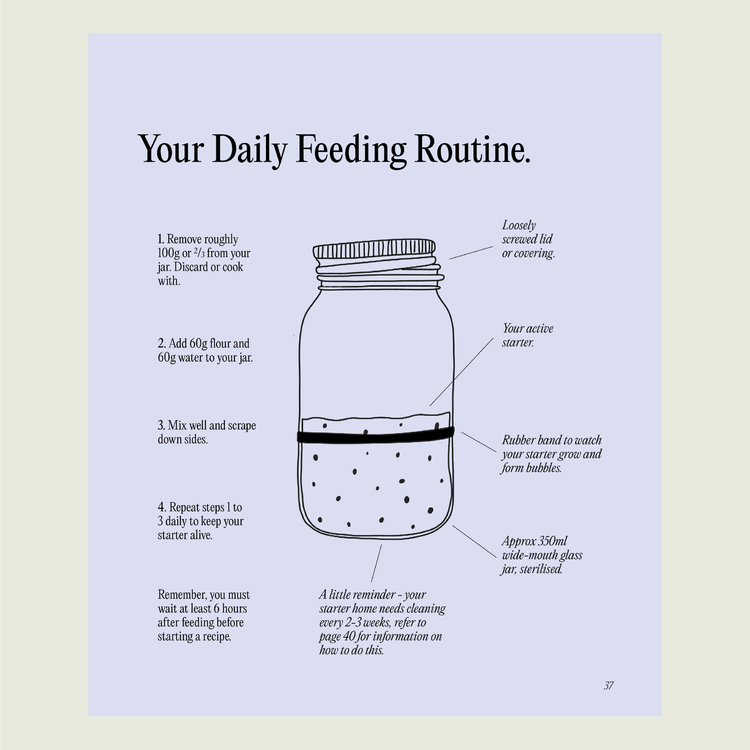 Your Daily Feeding Routine page from Simple Sourdough, a labelled jar diagram showing how much starter, flour and water to use at each feed