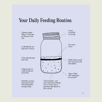 Your Daily Feeding Routine page from Simple Sourdough, a labelled jar diagram showing how much starter, flour and water to use at each feed