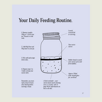 Your Daily Feeding Routine page from Simple Sourdough, a labelled jar diagram showing how much starter, flour and water to use at each feed