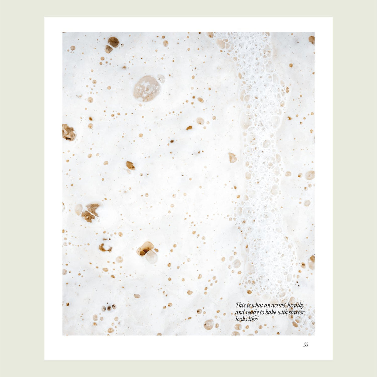 Close-up of a bubbly sourdough crumb; the flour we all love, made to look even better each day